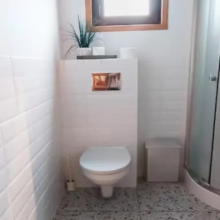 With Fireplace And Large Terrace *